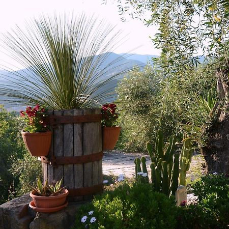 La Gatta Sul Sentiero Bed & Breakfast San Salvatore  Luaran gambar