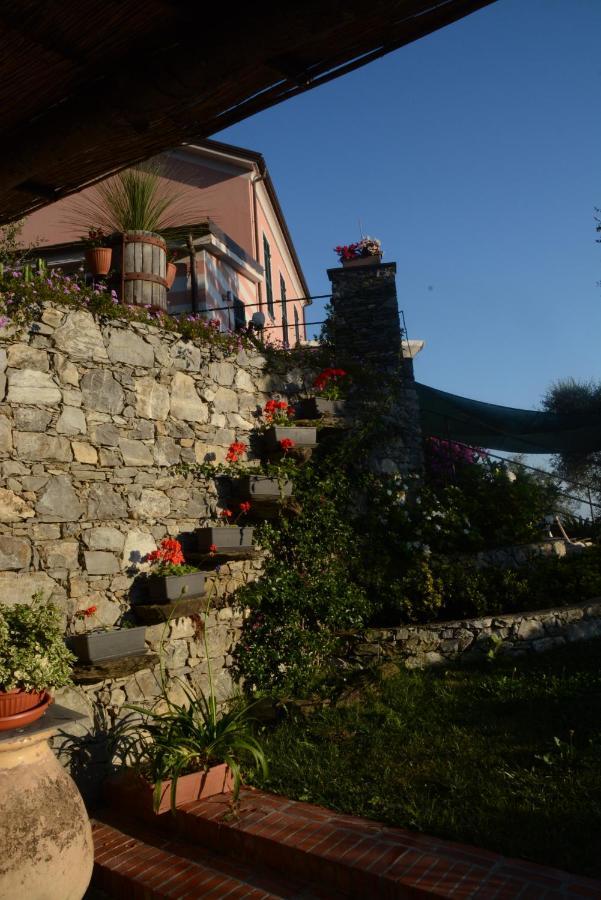 La Gatta Sul Sentiero Bed & Breakfast San Salvatore  Luaran gambar