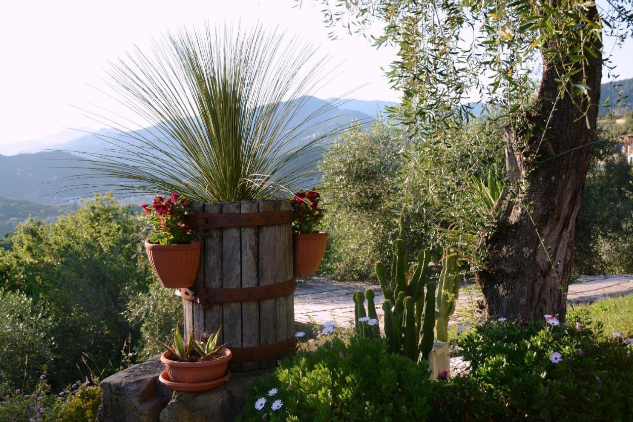 La Gatta Sul Sentiero Bed & Breakfast San Salvatore  Luaran gambar